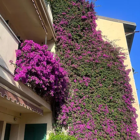 Seaside Appartement *